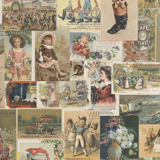 Panel Uno Vintage Postcard Devonstone