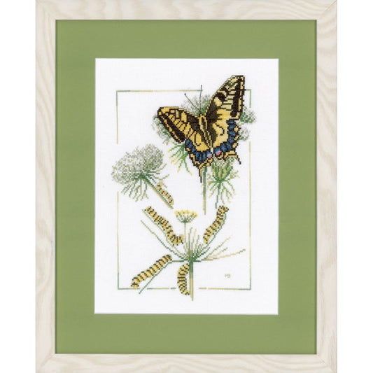 Stickpackung From Caterpillar to Butterfly Lanarte