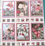 Flower Fairy Panel 6 kleine Bilder Teil A, Apfelblüte Fee; 60 x 56 cm DC 3935